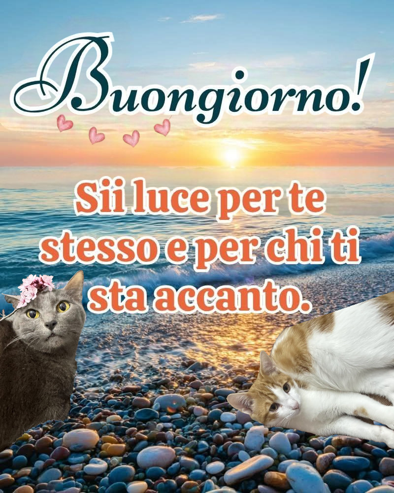 Buongiornissimo con tanto affetto! Siate gentili con voi stessi oggi… e anche con gli altri ❤️🙏